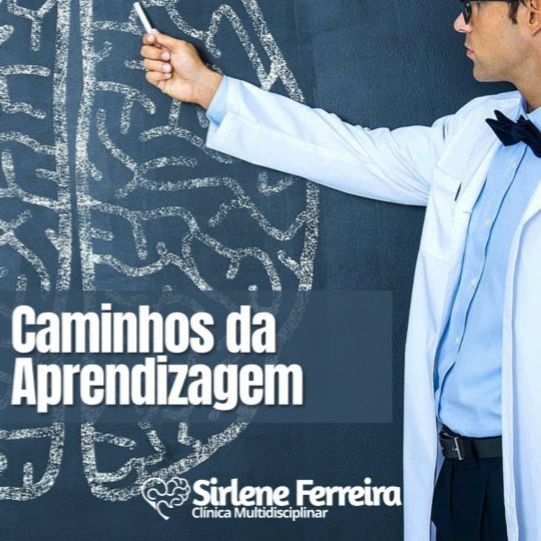 Caminhos da aprendizagem-A complexidade do cérebro